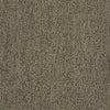 Scoreboard Ii 28 Slp Residential Carpet by Philadelphia Commercial in the color Time Out. Sample of golds carpet pattern and texture.