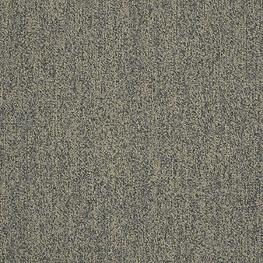 Scoreboard Ii 28 Slp Residential Carpet by Philadelphia Commercial in the color 10 To Go. Sample of grays carpet pattern and texture.