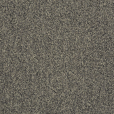 Scoreboard Ii 28 Slp Residential Carpet by Philadelphia Commercial in the color 4Th Quarter. Sample of grays carpet pattern and texture.