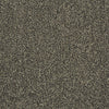 Scoreboard Ii 28 Slp Residential Carpet by Philadelphia Commercial in the color Grand Slam. Sample of grays carpet pattern and texture.