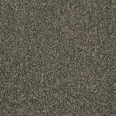 Scoreboard Ii 28 Slp Residential Carpet by Philadelphia Commercial in the color Grand Slam. Sample of grays carpet pattern and texture.