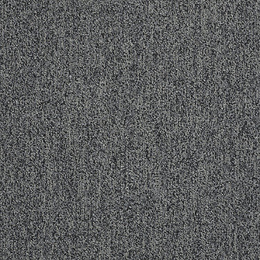 Scoreboard Ii 28 Slp Residential Carpet by Philadelphia Commercial in the color 2Nd Inning. Sample of grays carpet pattern and texture.