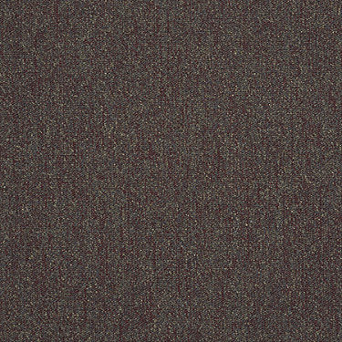 Scoreboard Ii 28 Slp Residential Carpet by Philadelphia Commercial in the color Bonus. Sample of browns carpet pattern and texture.