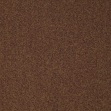 Scoreboard Ii 28 Slp Residential Carpet by Philadelphia Commercial in the color High Score. Sample of reds carpet pattern and texture.