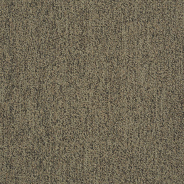 Scoreboard Ii 26 Slp Residential Carpet by Philadelphia Commercial in the color Time Out. Sample of golds carpet pattern and texture.