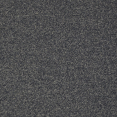 Scoreboard Ii 26 Slp Residential Carpet by Philadelphia Commercial in the color Message Board. Sample of blues carpet pattern and texture.
