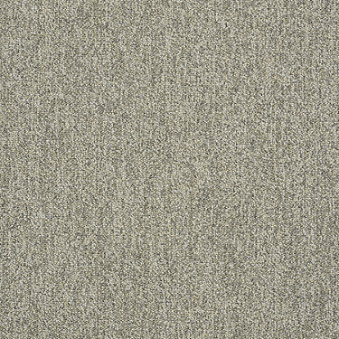 Scoreboard Ii 26 Slp Residential Carpet by Philadelphia Commercial in the color 1St Down. Sample of grays carpet pattern and texture.