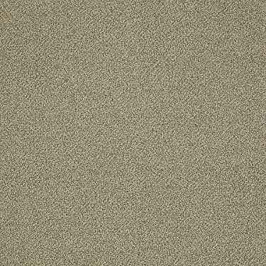 Nest Commercial Carpet by Philadelphia Commercial in the color Good Night. Sample of beiges carpet pattern and texture.