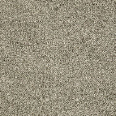 Nest Commercial Carpet by Philadelphia Commercial in the color Sleep Tight. Sample of beiges carpet pattern and texture.