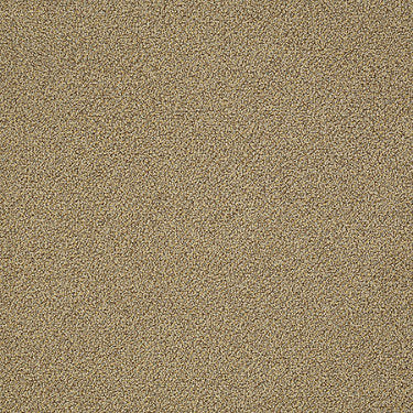 Nest Commercial Carpet by Philadelphia Commercial in the color Hit The Hay. Sample of golds carpet pattern and texture.