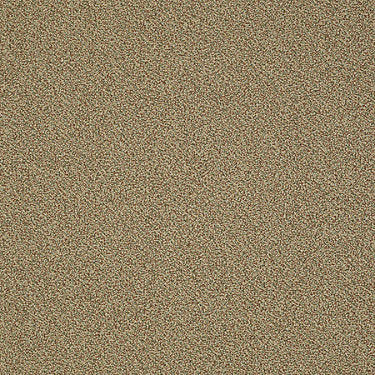 Nest Commercial Carpet by Philadelphia Commercial in the color Sack Out. Sample of golds carpet pattern and texture.