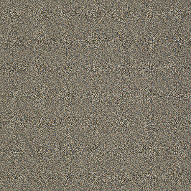 Nest Commercial Carpet by Philadelphia Commercial in the color Nite Nite. Sample of browns carpet pattern and texture.