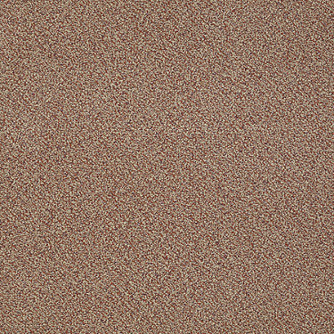 Nest Commercial Carpet by Philadelphia Commercial in the color Kiss Kiss. Sample of reds carpet pattern and texture.