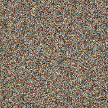 Nest Commercial Carpet by Philadelphia Commercial in the color 40 Winks. Sample of reds carpet pattern and texture.