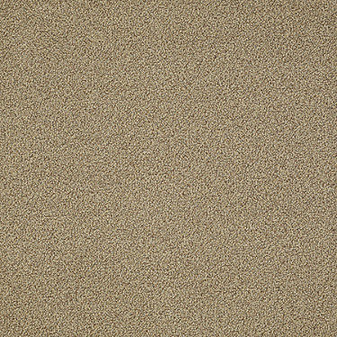 Nest Epbl Commercial Carpet by Philadelphia Commercial in the color Sandman. Sample of golds carpet pattern and texture.