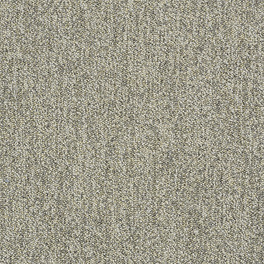 Scoreboard Ii 26 Residential Carpet by Philadelphia Commercial in the color 1St Down. Sample of grays carpet pattern and texture.