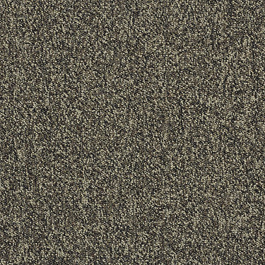 Scoreboard Ii 26 Residential Carpet by Philadelphia Commercial in the color Grand Slam. Sample of grays carpet pattern and texture.