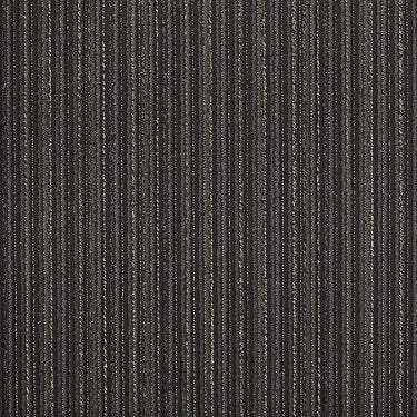 Straight & Narrow Commercial Carpet by Philadelphia Commercial in the color Persnickety. Sample of grays carpet pattern and texture.