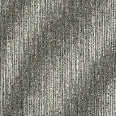 Live Wire Commercial Carpet by Philadelphia Commercial in the color Delightful. Sample of grays carpet pattern and texture.