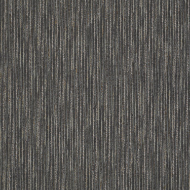 Live Wire Commercial Carpet by Philadelphia Commercial in the color Enthusiastic. Sample of grays carpet pattern and texture.