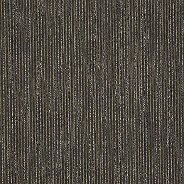 Live Wire Commercial Carpet by Philadelphia Commercial in the color Intense. Sample of browns carpet pattern and texture.