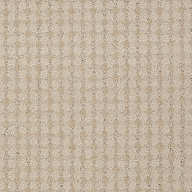 Live Commercial Carpet by Philadelphia Commercial in the color Hope. Sample of beiges carpet pattern and texture.