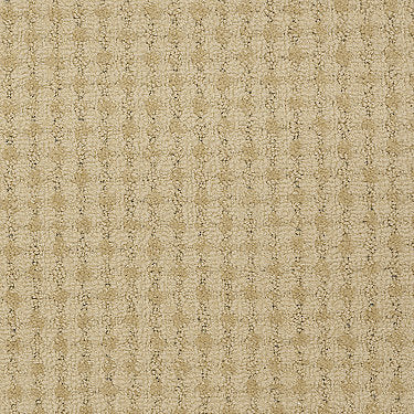 Live Commercial Carpet by Philadelphia Commercial in the color Love. Sample of golds carpet pattern and texture.