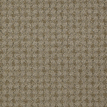 Live Commercial Carpet by Philadelphia Commercial in the color Joy. Sample of browns carpet pattern and texture.