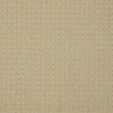Live Epbl Commercial Carpet by Philadelphia Commercial in the color Love. Sample of golds carpet pattern and texture.