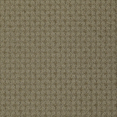 Live Epbl Commercial Carpet by Philadelphia Commercial in the color Joy. Sample of browns carpet pattern and texture.