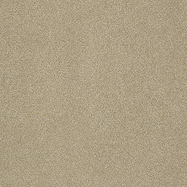 Calm Commercial Carpet by Philadelphia Commercial in the color Gesture. Sample of beiges carpet pattern and texture.