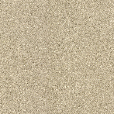 Calm Epbl Commercial Carpet by Philadelphia Commercial in the color Touch. Sample of beiges carpet pattern and texture.