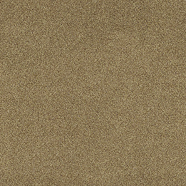 Calm Epbl Commercial Carpet by Philadelphia Commercial in the color Look. Sample of golds carpet pattern and texture.