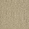 Gather Commercial Carpet by Philadelphia Commercial in the color Together. Sample of beiges carpet pattern and texture.