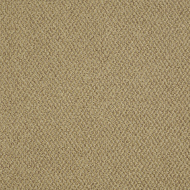 Gather Commercial Carpet by Philadelphia Commercial in the color Everyone. Sample of golds carpet pattern and texture.