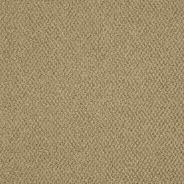 Gather Epbl Commercial Carpet by Philadelphia Commercial in the color Everyone. Sample of golds carpet pattern and texture.