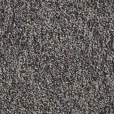 Franchise Ii 28 Residential Carpet by Philadelphia Commercial in the color Granite. Sample of grays carpet pattern and texture.