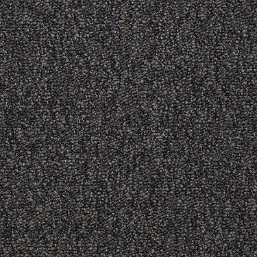 Franchise Ii 28 Residential Carpet by Philadelphia Commercial in the color Black Diamond. Sample of grays carpet pattern and texture.