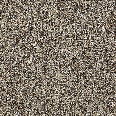 Franchise Ii 28 Residential Carpet by Philadelphia Commercial in the color Riverrock. Sample of browns carpet pattern and texture.