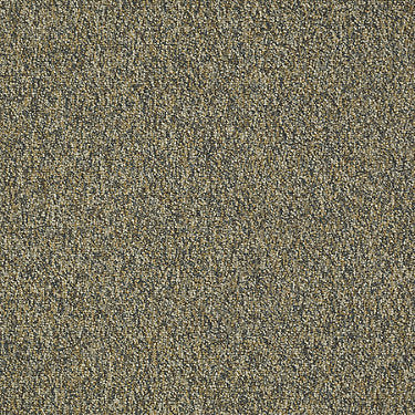 Franchise Ii 28 Residential Carpet by Philadelphia Commercial in the color Burlwood. Sample of browns carpet pattern and texture.