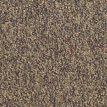 Franchise Ii 28 Residential Carpet by Philadelphia Commercial in the color Fruitwood. Sample of browns carpet pattern and texture.