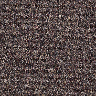 Franchise Ii 28 Residential Carpet by Philadelphia Commercial in the color Henna Spice. Sample of reds carpet pattern and texture.