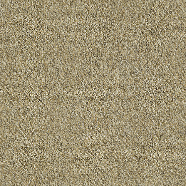 Franchise Ii 26 Residential Carpet by Philadelphia Commercial in the color Woodland. Sample of golds carpet pattern and texture.