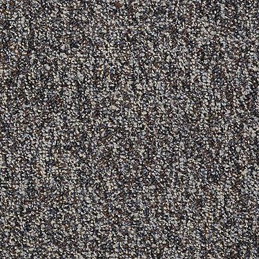 Franchise Ii 26 Residential Carpet by Philadelphia Commercial in the color Granite. Sample of grays carpet pattern and texture.