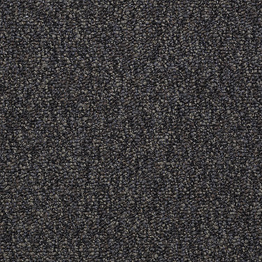 Franchise Ii 26 Residential Carpet by Philadelphia Commercial in the color Black Diamond. Sample of grays carpet pattern and texture.