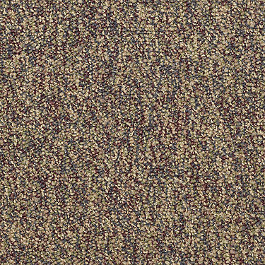 Franchise Ii 26 Residential Carpet by Philadelphia Commercial in the color Fruitwood. Sample of browns carpet pattern and texture.