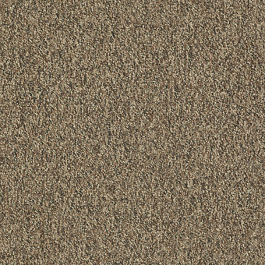 Franchise Ii 28 Epbl Residential Carpet by Philadelphia Commercial in the color Bedrock. Sample of browns carpet pattern and texture.