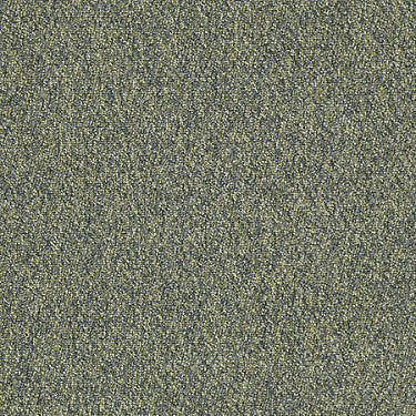 Franchise Ii 26 Epbl Residential Carpet by Philadelphia Commercial in the color Cavern. Sample of greens carpet pattern and texture.