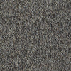 Franchise Ii 26 Epbl Residential Carpet by Philadelphia Commercial in the color Granite. Sample of grays carpet pattern and texture.