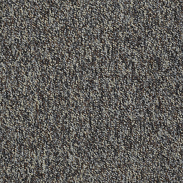 Franchise Ii 26 Epbl Residential Carpet by Philadelphia Commercial in the color Granite. Sample of grays carpet pattern and texture.